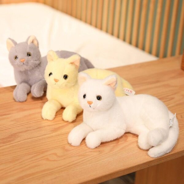0240d459-531b-44de-ac4f-021502704417_1525e5c0-4742-47ad-99e1-7112b292bd6f.jpg Chat Kawaii