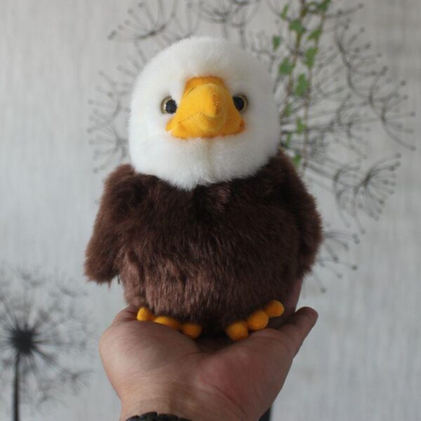 15bd677c-9570-4114-abe6-1929b496d03a.jpg Peluche Petit Aigle Chauve Réaliste
