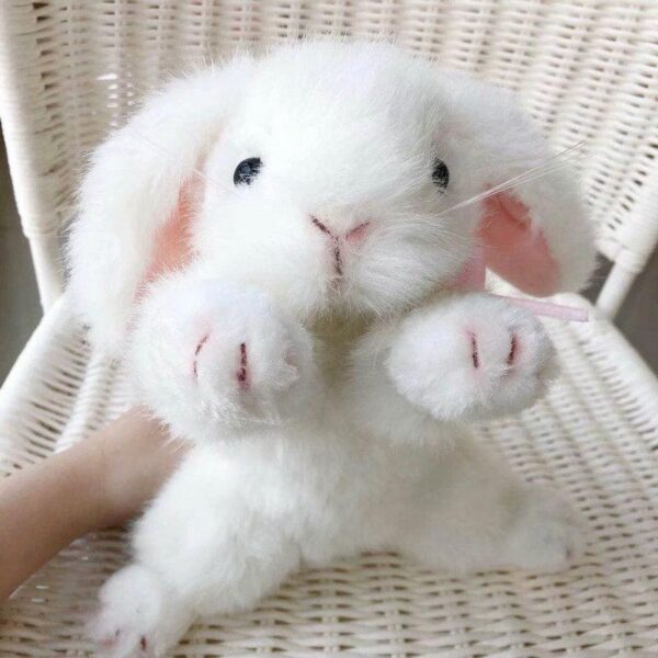 17ba2769-5286-4cb7-bd45-9adf990070c9.jpg Jouet peluche lapin réaliste