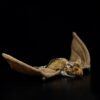 Peluche Chauve-Souris Réaliste