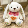 Joyeux anniversaire lapin et ourson