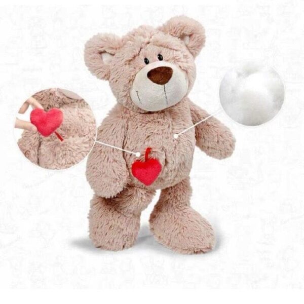 300b2065-71a2-4b8a-8585-5c0498d39f9d_43fccdd7-5330-40fb-85e2-3c039544d314.jpg Ours en peluche à cœur de poche