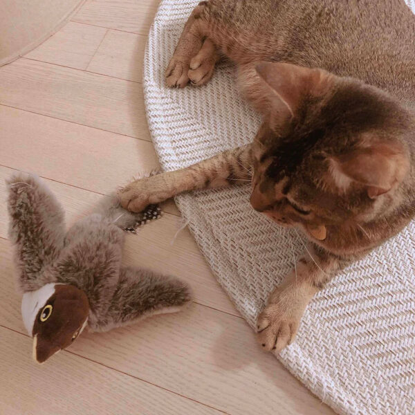 Jouet pour chat BirdBeat