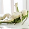 Poupée en peluche grenouille pour enfants