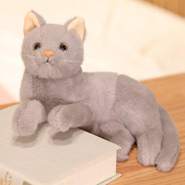 Chat Kawaii