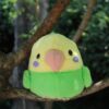 Peluches Toucan, Perruche et Cockatiel