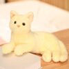 Chat Kawaii