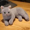 Peluches Kitty Cat réalistes Kawaii
