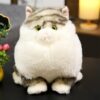 Adorable chat à crinière floue en peluche