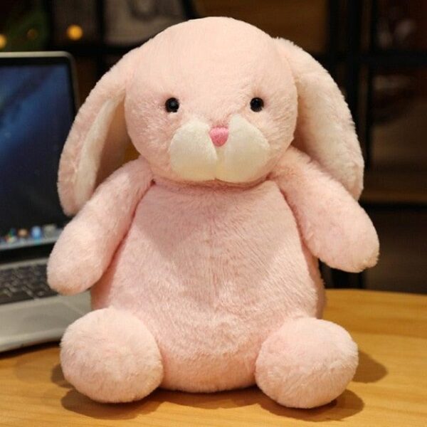 712926a8-b8bf-470d-9861-b2ecaeff4c0f_0330fd4a-a690-448b-a7c9-31a17037e440.jpg Peluche lapin mignon et câlin