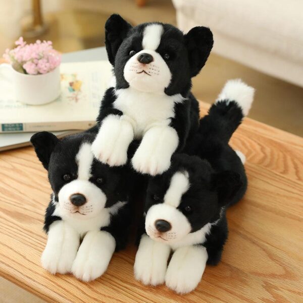 779d9653-32e9-4591-8b58-6f15bb0bca0f.jpg Peluche chien Border Collie réaliste