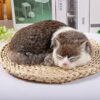 Poupées en peluche hyper réalistes pour chats endormis