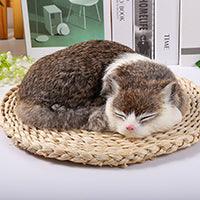 Poupées en peluche hyper réalistes pour chats endormis