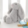 Lapin à oreilles tombantes