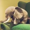 Peluche xxl éléphant sauvage