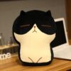 Oreiller peluche chat kawaii 12"-16