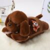 Bouillotte Peluche Petit Chien