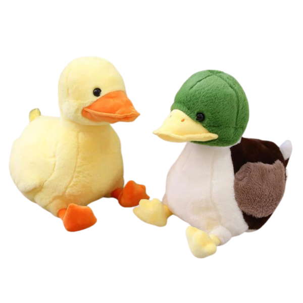 CuteBabyMallardDuck_4bd5af34-d7af-4dd9-b06d-f0d92c642e8f.png Mignon bébé canard colvert