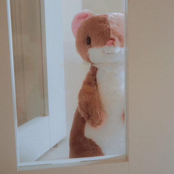 H9fe9033a4ec4409080b267e841c820c82.jpg Peluches Ferret Super Mignon