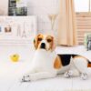 Jouets en peluche géants grandeur nature pour chien Beagle