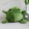 Peluche Grenouille Mini