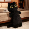 Peluches de chat aux grands yeux et aux longues peluches