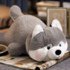 Peluches Kawaii Fluffy Husky
