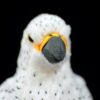 Peluche Gyrfalcon réaliste