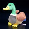 Peluche canard colvert super mignon