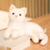 Chat Kawaii