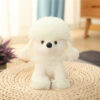Peluches caniche pelucheux
