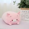 Petits animaux en peluche