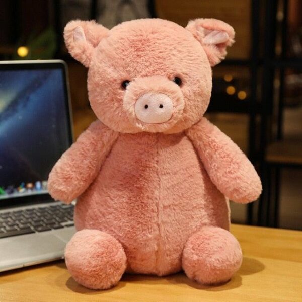 bbd2d904-a8dd-44c7-98de-d4c36350e61c_28e07b34-3c1f-42c8-88ad-4e716c9a67e2.jpg Peluche Cochon mignon et câlin