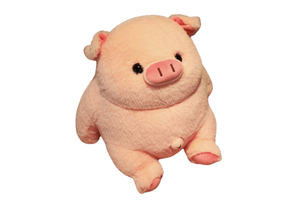 Cochon En Peluche