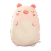 Cochon Peluche