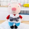 Jouets en peluche cochon mignon qui se transforme en lapin grenouille