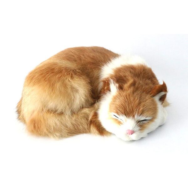 d3e9ebd1-9938-46f8-b7b5-8fdf41ba2203.jpg Poupées en peluche hyper réalistes pour chats endormis