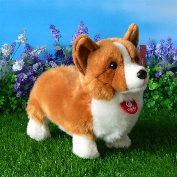 db19b404-f84e-4221-8ad7-4e26d5043169.jpg Peluche Pembroke Welsh Corgi réaliste et mignon