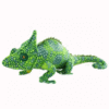 Lézard caméléon