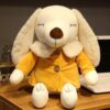 Doudou Chien Enfant