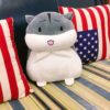 Hamster joyeux