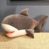 Requin Shilo