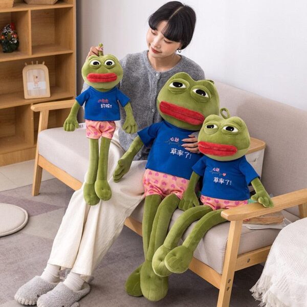 f2b7bfbc-a512-4e94-8594-63c868a90e77.jpg Peluche Grenouille Triste Internet Meme