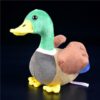 Peluche canard colvert super mignon