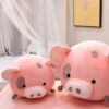 Gros Cochon En Peluche