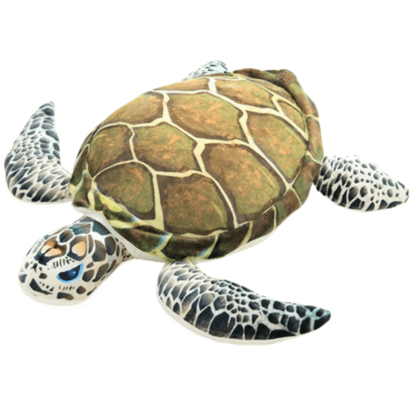 Doudou Tortue