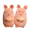 Peluche Cochon Etoile