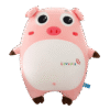 Peluche Cochon Gros Yeux