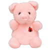 Peluche Cochon Nain