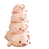Coussin Cochon